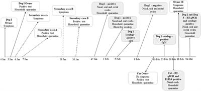 The Evidence of SARS-CoV-2 Human-to-Pets Transmission in Household Settings in Bosnia and Herzegovina